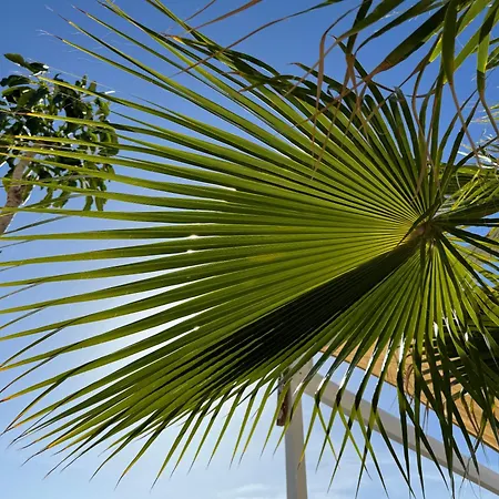 Appartamento El ático Bonito-penthaus-whirlpool-atlatikblick