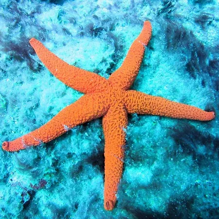 El ático Bonito-penthaus-whirlpool-atlatikblick *