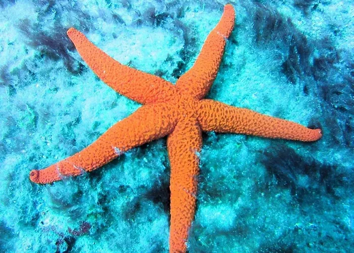 El ático Bonito-penthaus-whirlpool-atlatikblick *